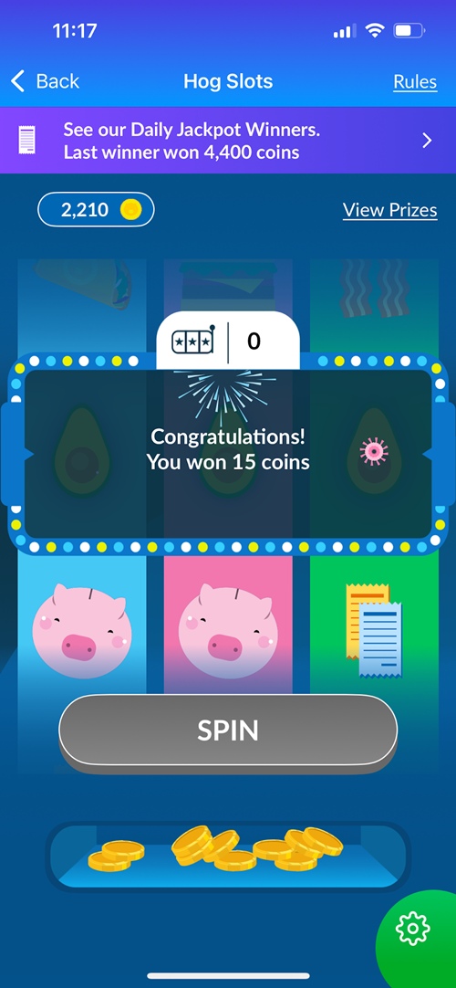 receipt hog hog slots