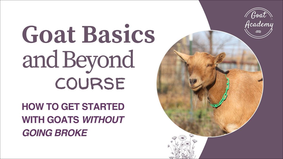 Goat Basics and Beyond Course